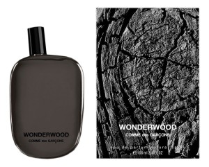 Comme des Garcons WONDERWOOD Men