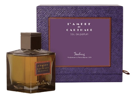 Panouge Isabey L'AMBRE DE CARTHAGE Men