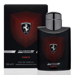 Ferrari SCUDERIA FERRARI FORTE Men