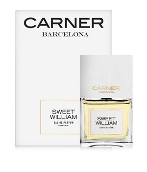 Carner Barcelona SWEET WILLIAM Unisex