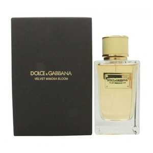 Dolce&Gabbana VELVET MIMOSA BLOOM Women