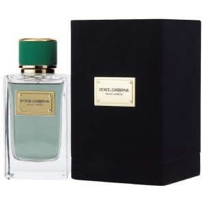 Dolce&Gabbana VELVET CYPRESS Unisex