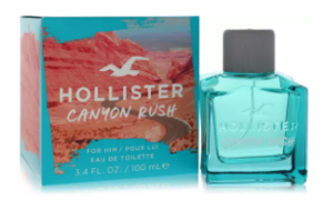 Hollister CANYON RUSH Men