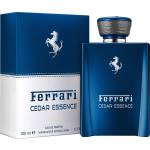 Ferrari CEDAR ESSENCE Men